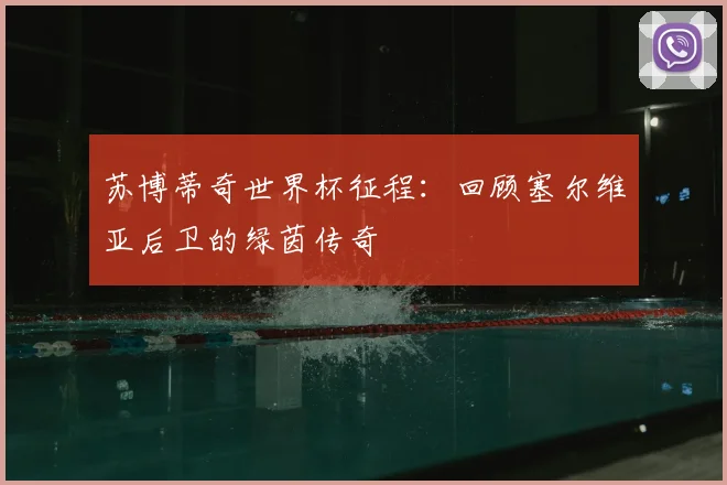 苏博蒂奇世界杯征程：回顾塞尔维亚后卫的绿茵传奇