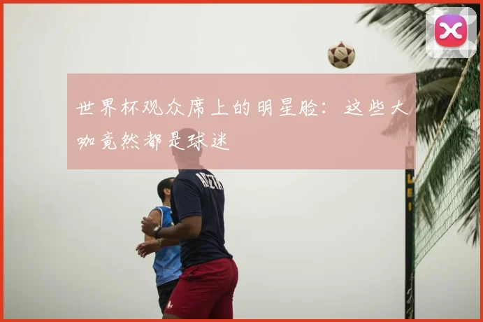 世界杯观众席上的明星脸：这些大咖竟然都是球迷