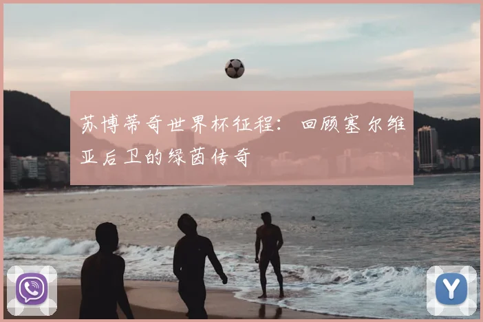 苏博蒂奇世界杯征程：回顾塞尔维亚后卫的绿茵传奇