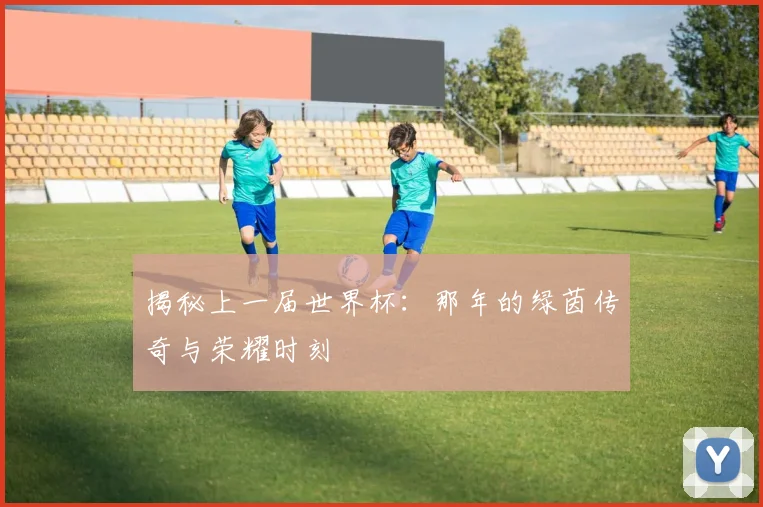 揭秘上一届世界杯：那年的绿茵传奇与荣耀时刻