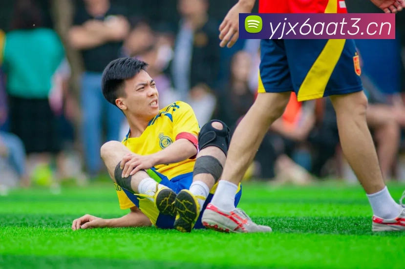 letou最新官网平台生态图